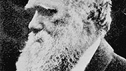 Charles Darwin