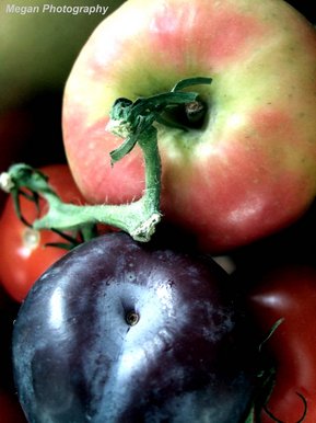 Art coursework- Natural forms