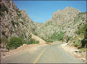 بهزاد مرادی