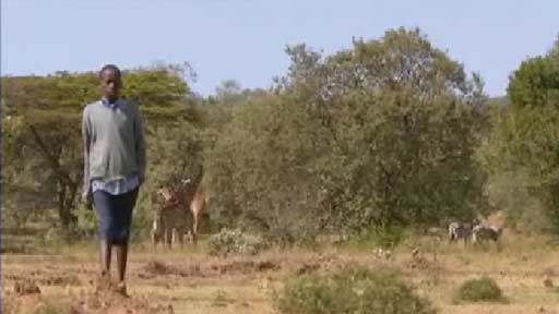 A Masai child walking to school