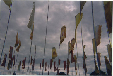 Flags