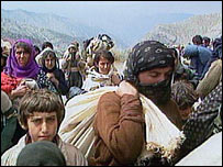 کرد پناہ گزیں