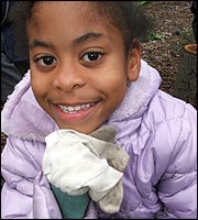 On the allotments with Shades of Black