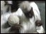 The Maulidi ya Homu group of Mtendeni
