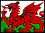 The Welsh Flag
