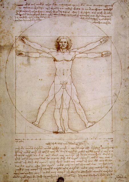 Vitruvian Man