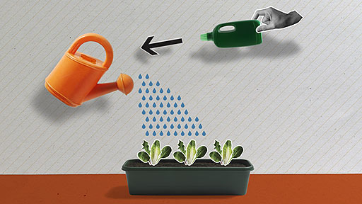 A hand adding liquid feed to a watering can