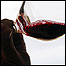 Vinho