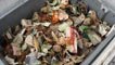 Compost bin