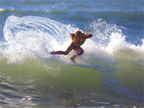 Surfing at Saltrock - Pic: Jason Feast