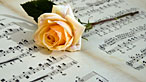 Flower on a musical score