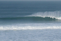 Cornish Perfection - Alun