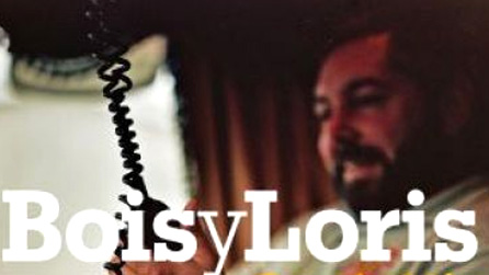 Rhan o glawr Bois y Loris