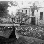 'Dig for Victory' or defeated by the cabbage patch?! Home House 1941