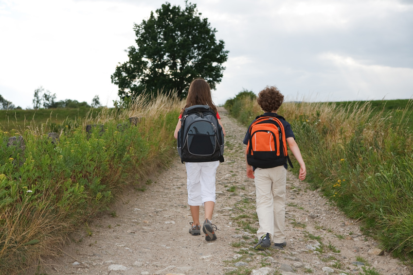 Girl and boy going to school in rural scenery @ Jacek Chabraszewski - Fotolia.com