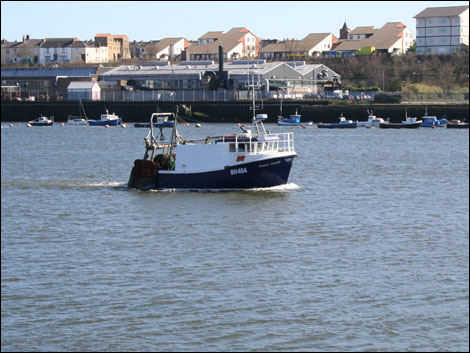 The Natalie Kristen enters the Tyne