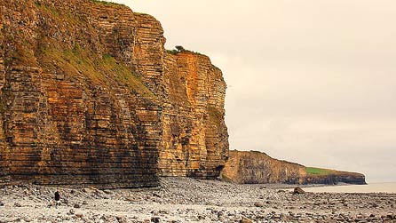 Cliffs at Llantwit Major by Gale Foley