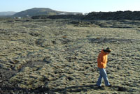 Dilwyn yng Ngwlad yr Iâ