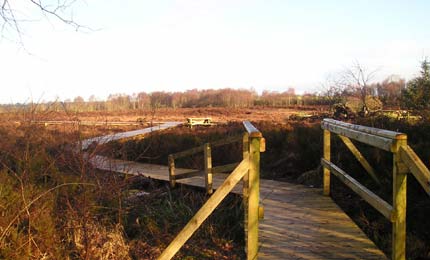 Part of the'Two Drums Mountain View.'