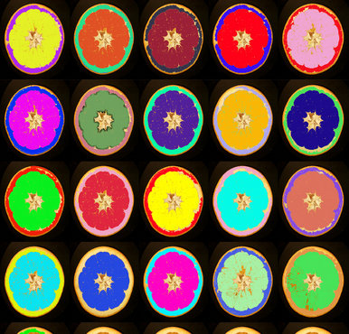 Pop art oranges