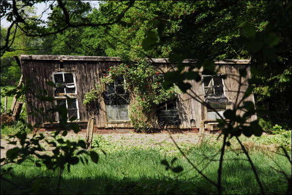 Photo by John Baltay