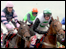 Horse racing at Cheltenhahm (Getty image)