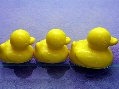 Rubber ducks