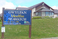 Gwylfan Moelfre lle mae'r cerflun wedi ei osod