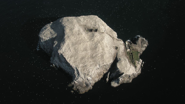 A rare view of Bass Rock, the biggest gannet colony in the UK.
