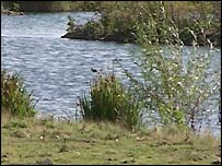 Inside The sanctuary nature reserve