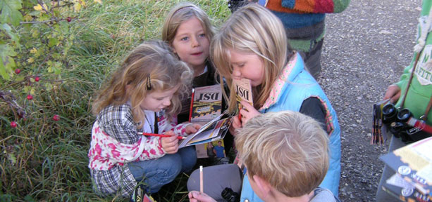 Deadly Scene Investigation - DSI