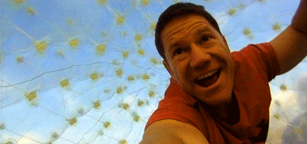 Steve Backshall running inside a zorb