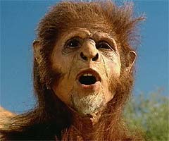 Homo habilis spies a prime animal carcass in the distance