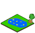 Pond
