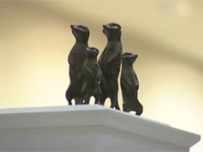 Tracey Emin's meerkats concept