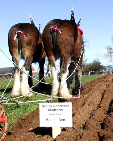 Bill and Ben prepared for a day of ploughing
