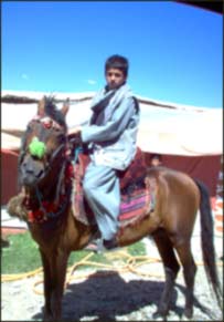 اسپ سوار کوچک 