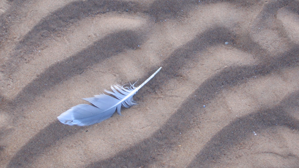 Visitors to Cruden Bay can enjoy scenic clifftop and coastal walks.