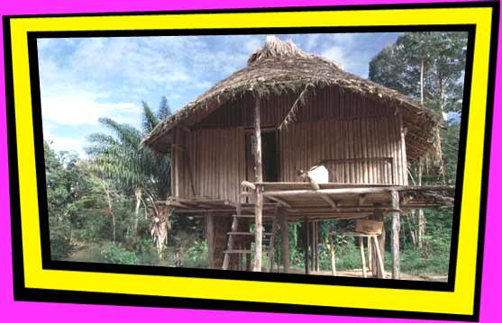 Hut