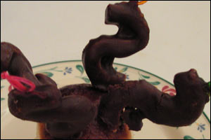 Pork fat covered in chocolate.