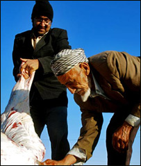 قربانی