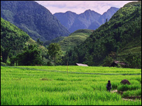 Tự tình sông núi