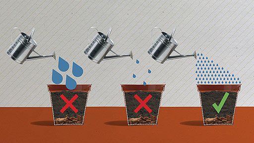 Three pots showing too little, too much and just enough water.