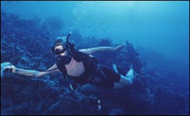 Scuba diving 