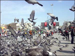 ميدان تقسيم 