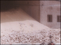 کاٹن فیکٹری