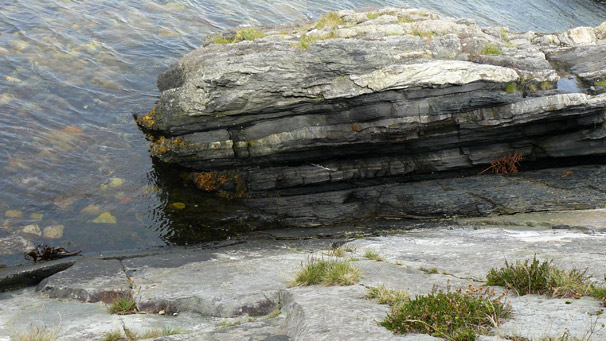 Boulders, site of the fossilised Myriapoda footprint