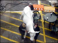 The BBC GMR cow heading for the Bus