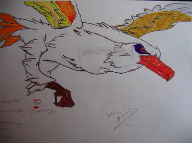 Eagle from Down Under