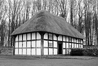 Abernodwydd